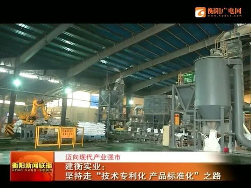 技術(shù)專(zhuān)利化、產(chǎn)品標(biāo)準(zhǔn)化 建衡實(shí)業(yè)邁向現(xiàn)代產(chǎn)業(yè)強(qiáng)市之路